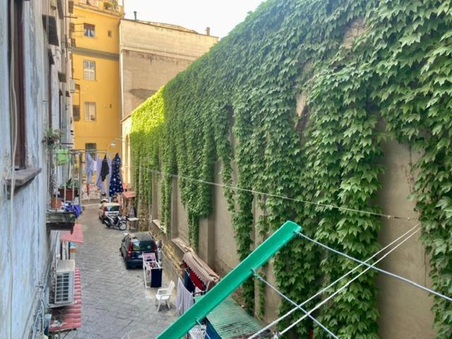 Centro Storico S Chiara House Leilighet Napoli Eksteriør bilde